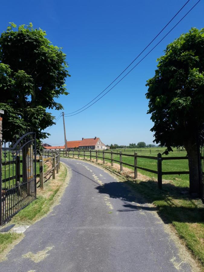 De Blinker Villa Knokke-Heist Buitenkant foto