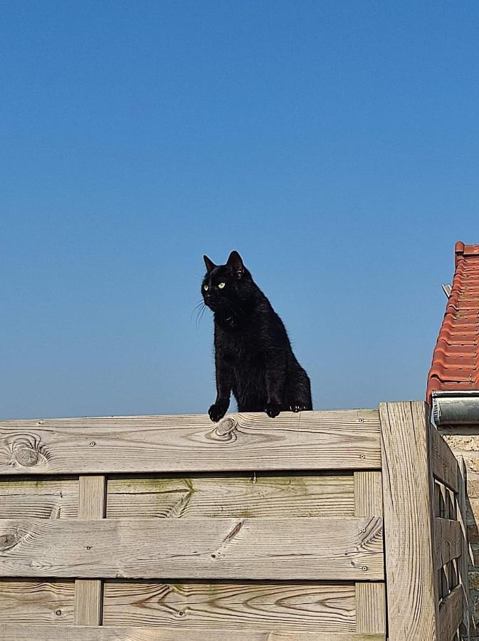 De Blinker Villa Knokke-Heist Buitenkant foto